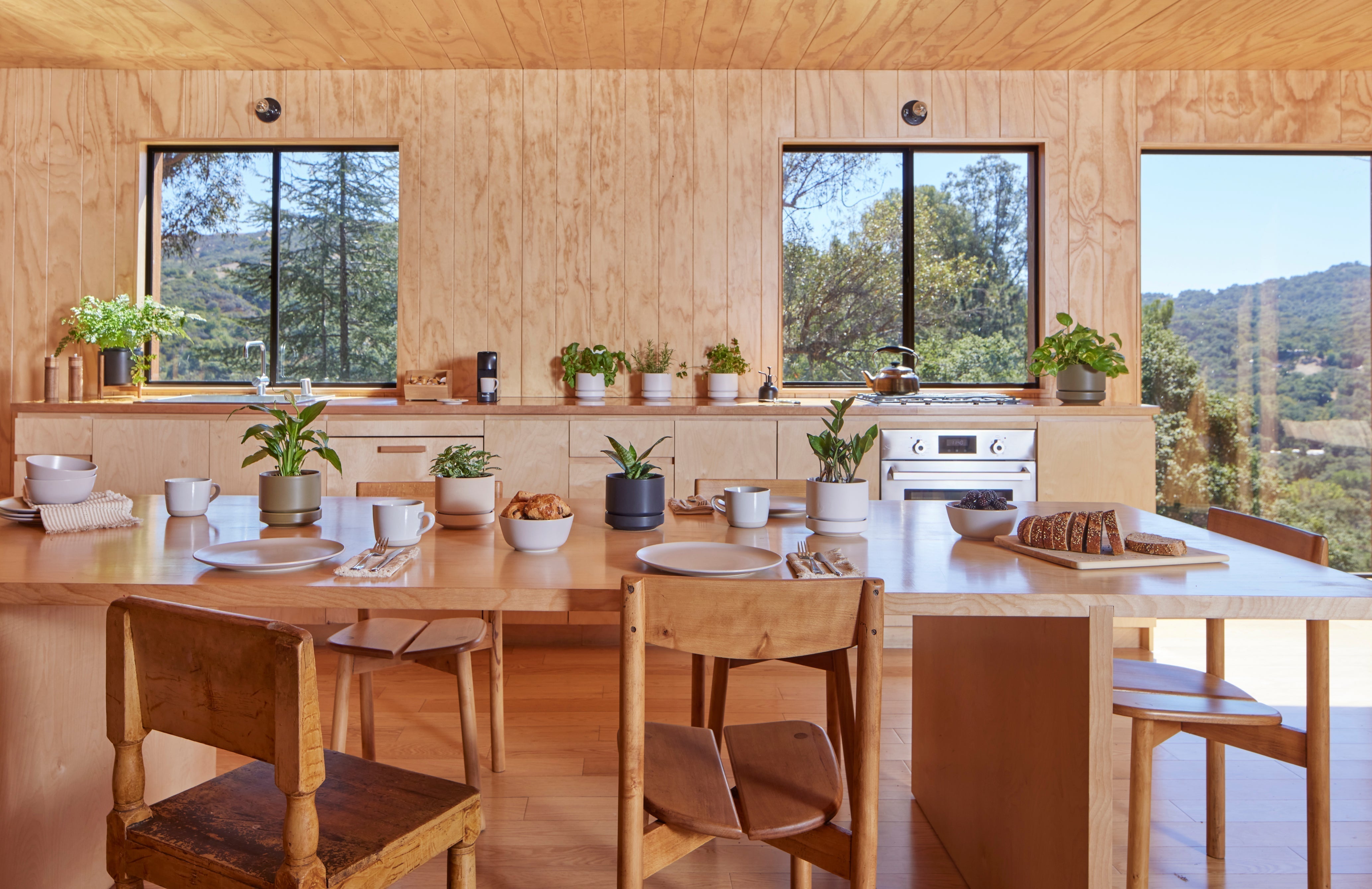 Your 5-Minute Holiday Tablescape (with Planters)