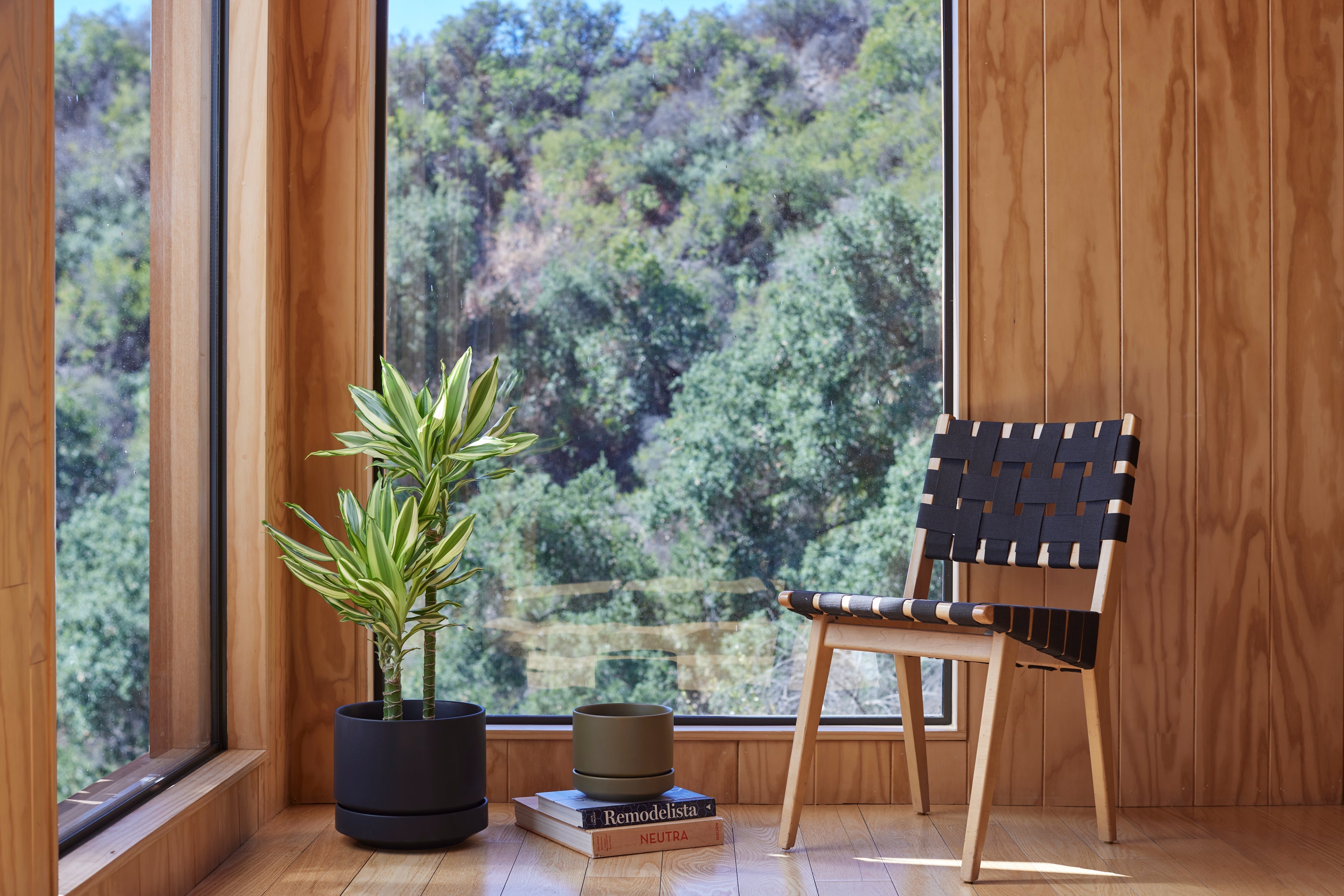 The Planter Size Guide: Small, Medium, and Large, and Where Each One Belongs