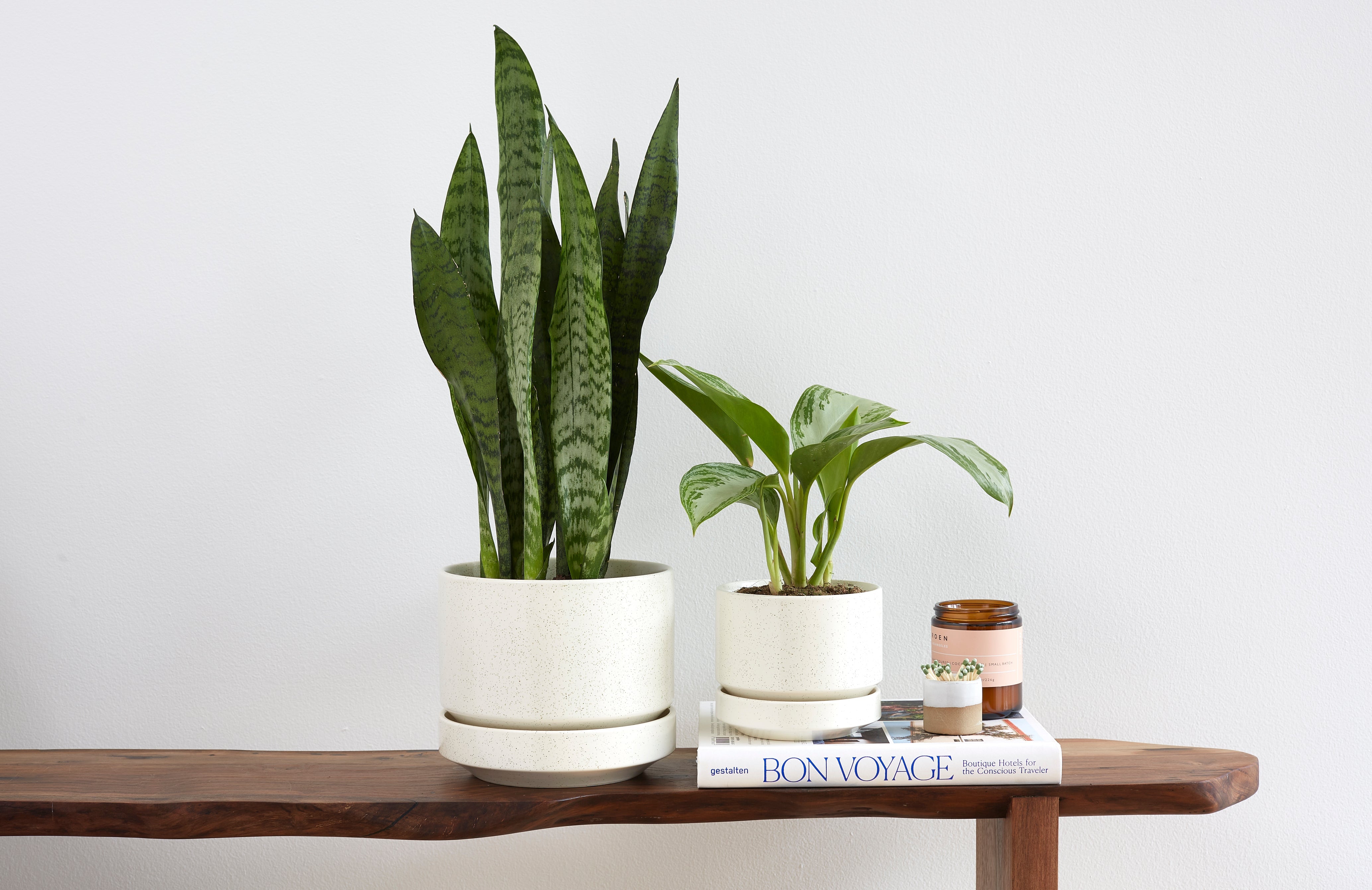 Design Notes: The Round Two Planter