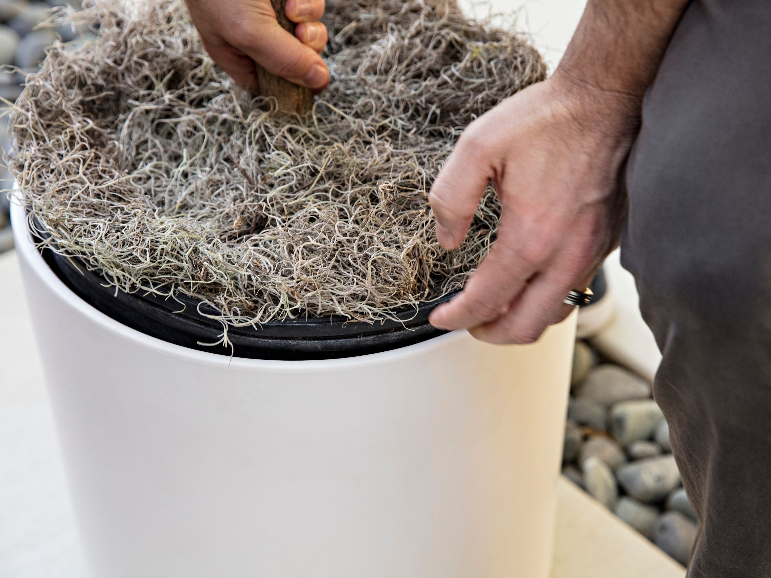 How to Choose the Right Planter Size: The Complete Guide to Grow Pot Fit