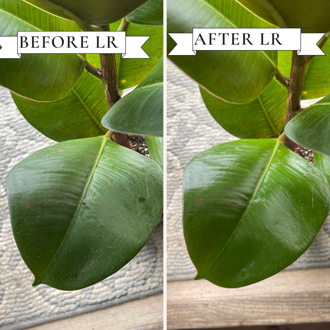 Leaf Radiance - Cleaner, Conditioner, Shine