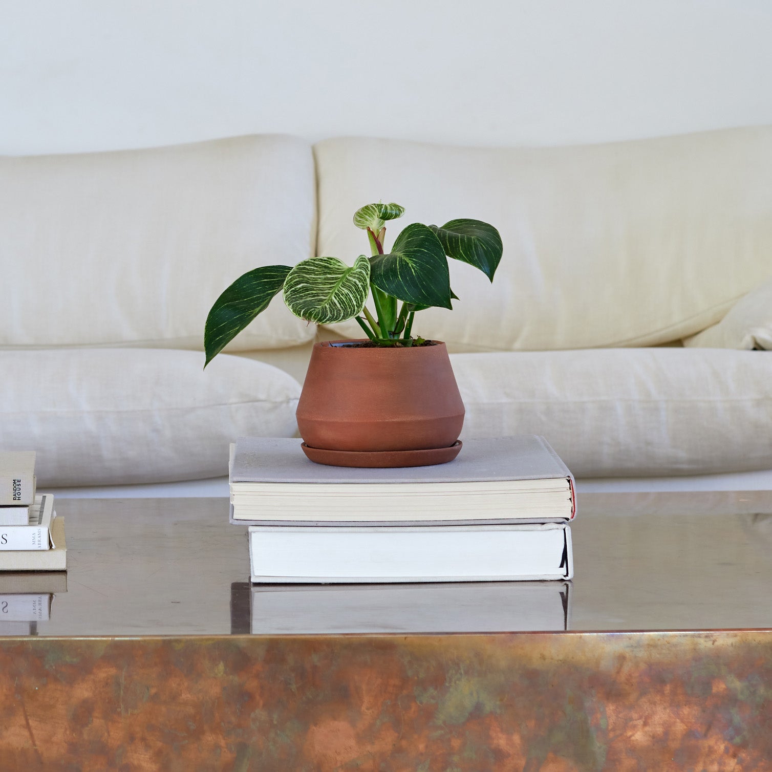 Lifestyle photo of Terra Cotta colored Rancho Planter sitting on top of a stack of coffee table books.