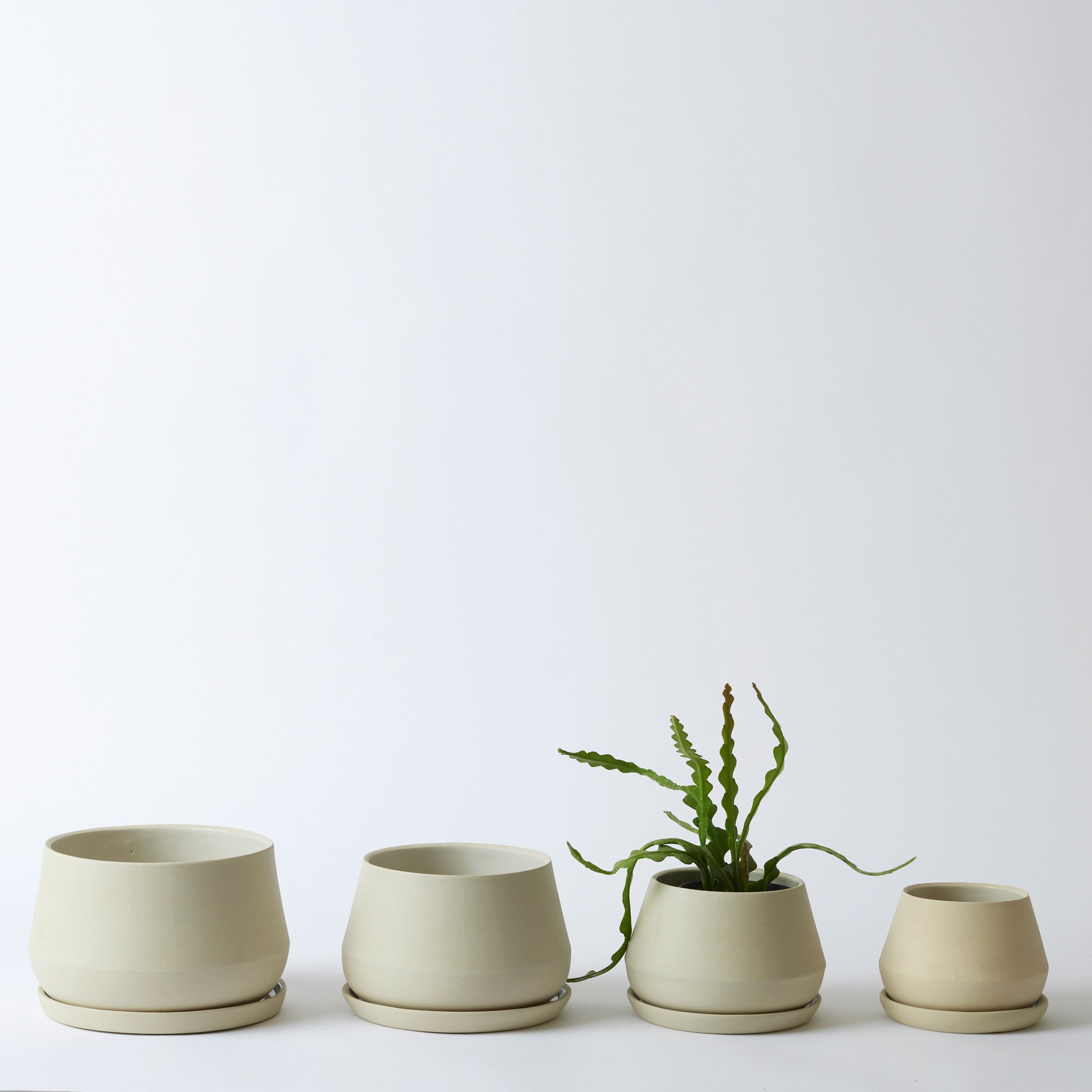 Group image of the sand colored Rancho Planters. They are a beautiful off-white, cream color. One of the pots has a nice green plant in it.