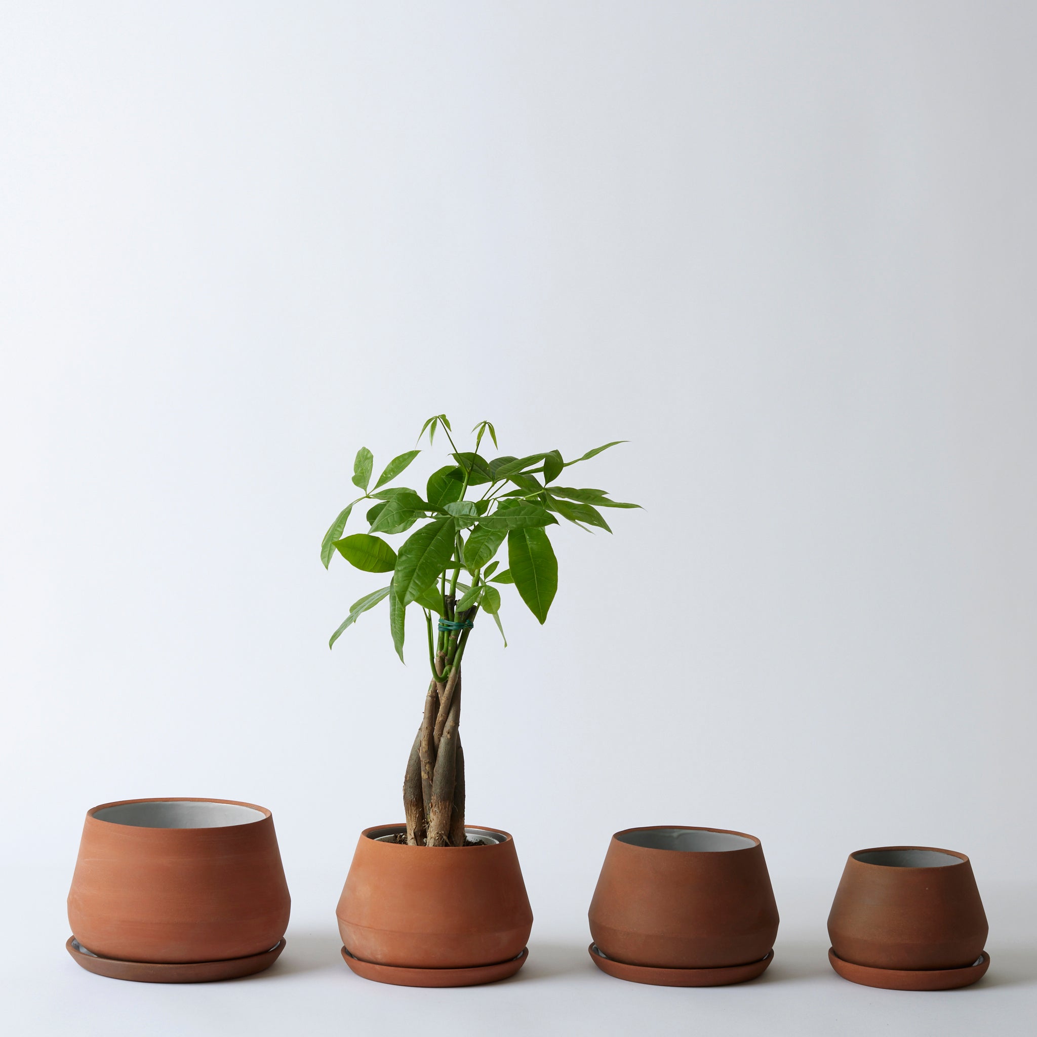 Group image of the different sizes of the terra cotta Rancho Planters One of them has a plant inside of it. The green contrasts well with the clay-like terra cotta color.