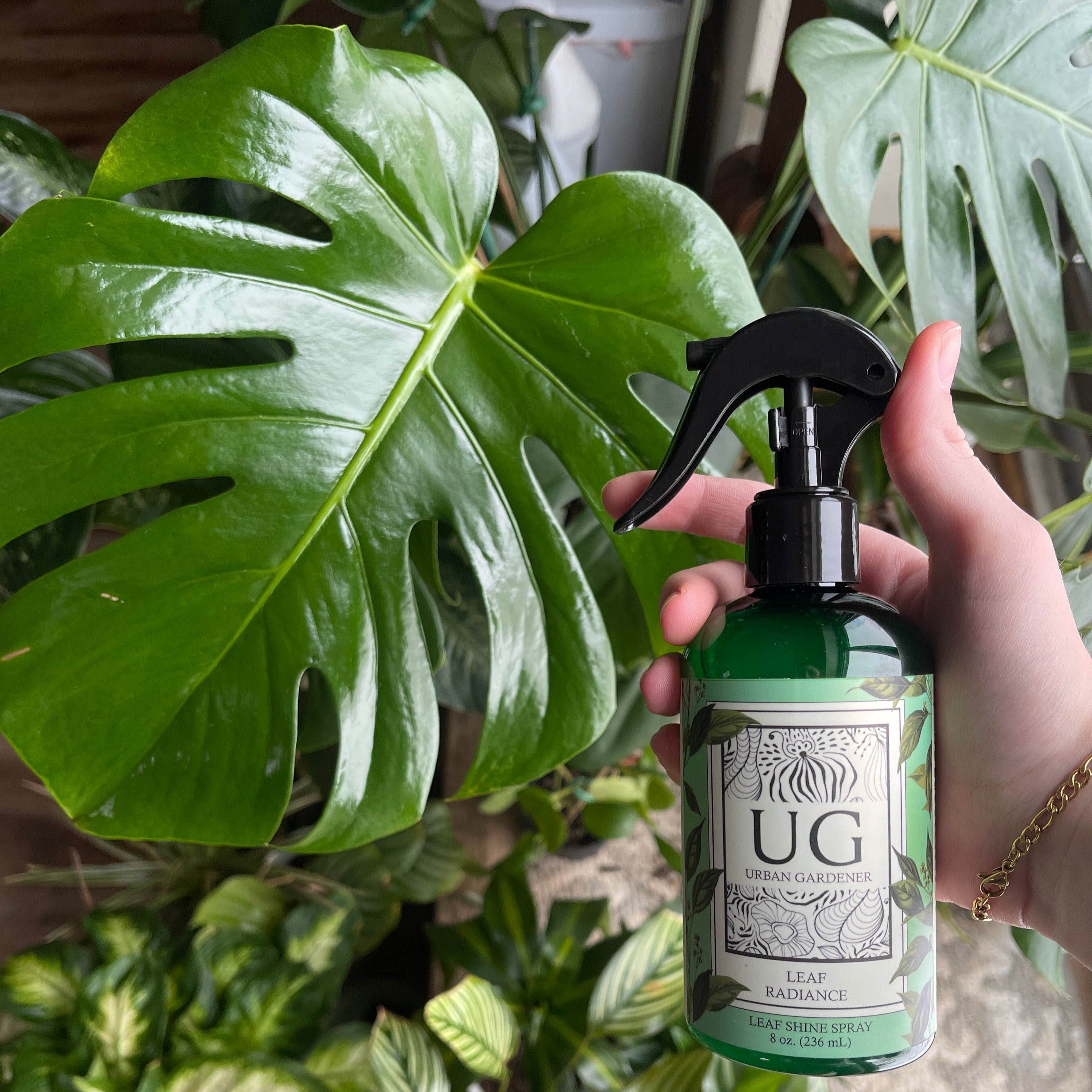 Leaf Radiance - Cleaner, Conditioner, Shine