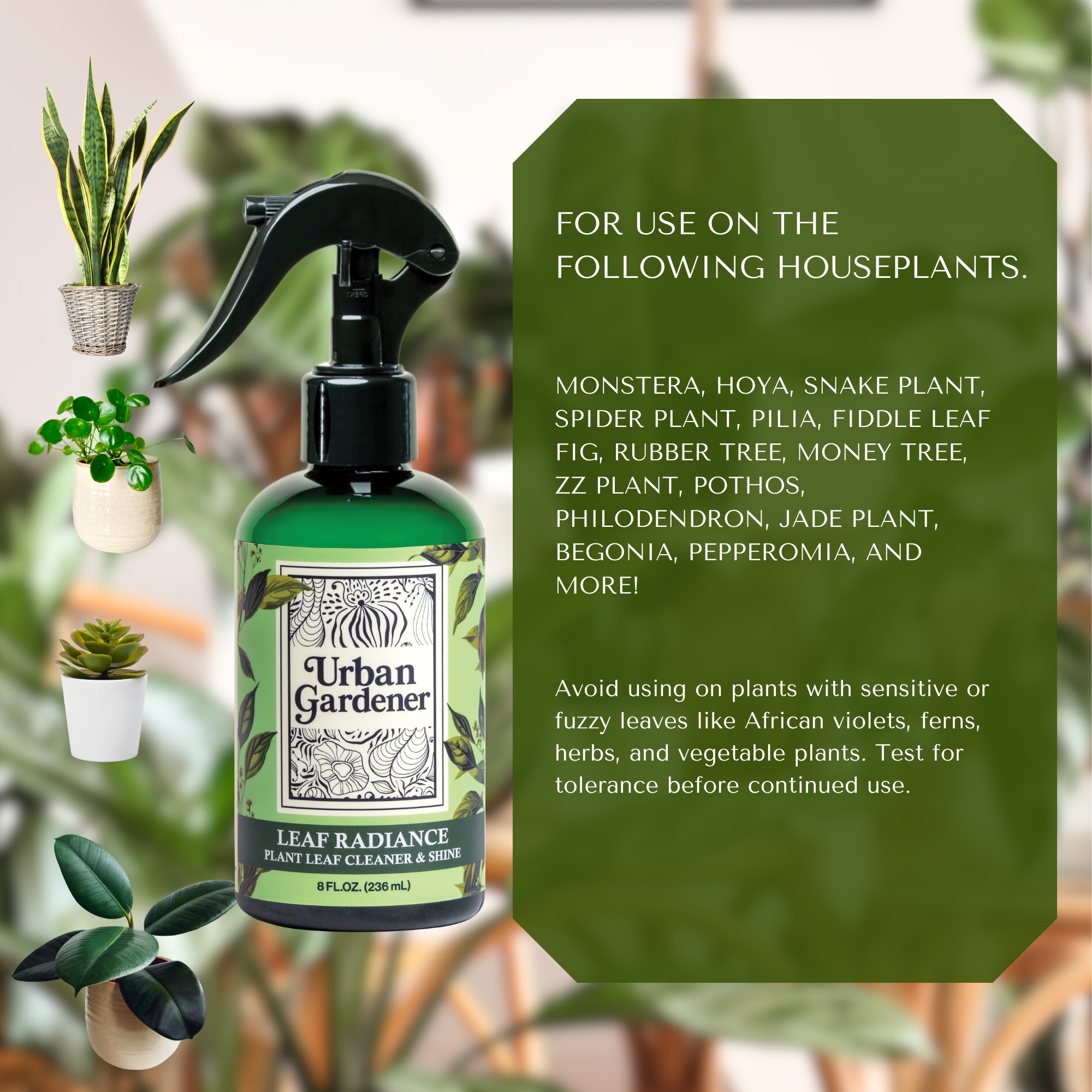 Leaf Radiance - Cleaner, Conditioner, Shine