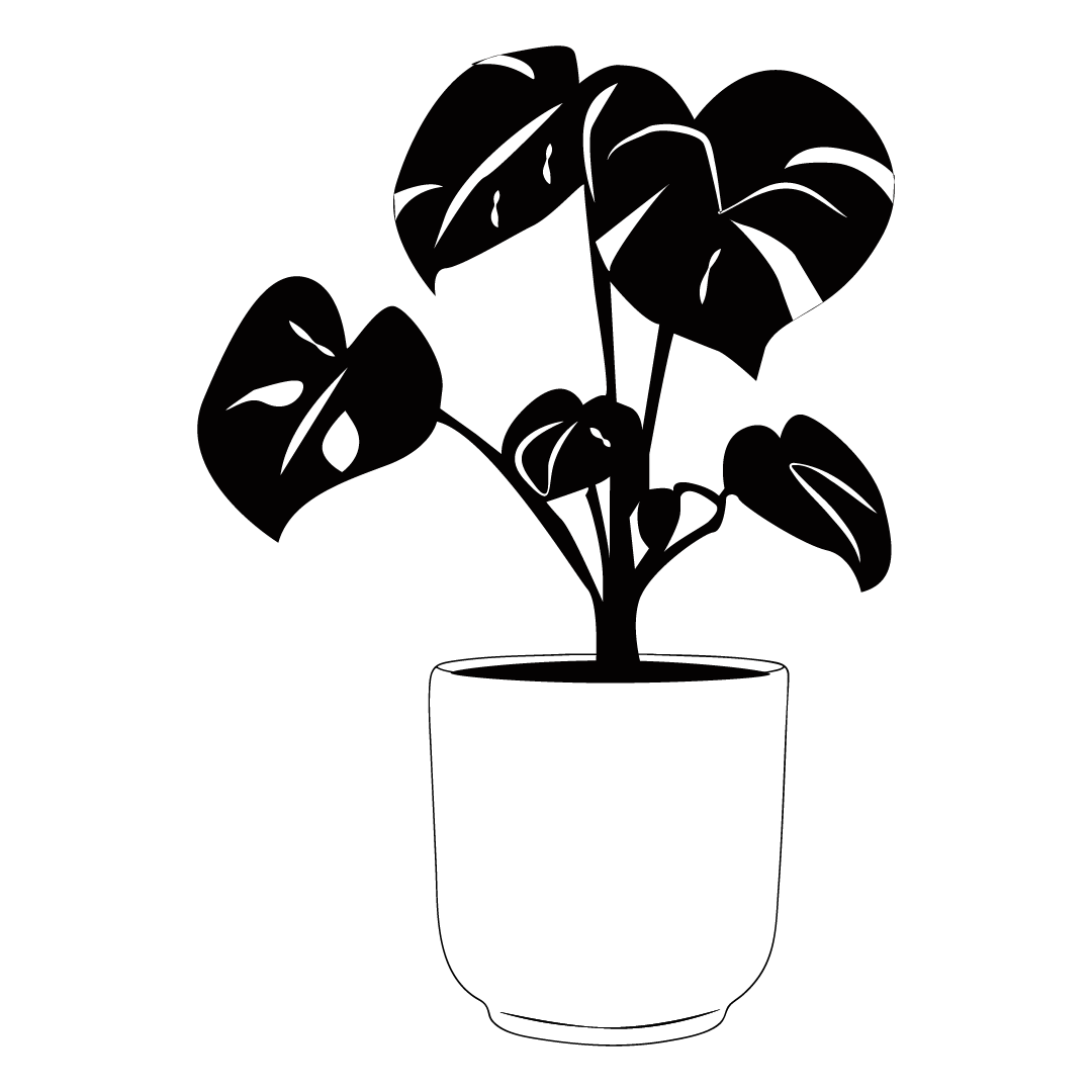 Black line drawing of a potted plant on a white background