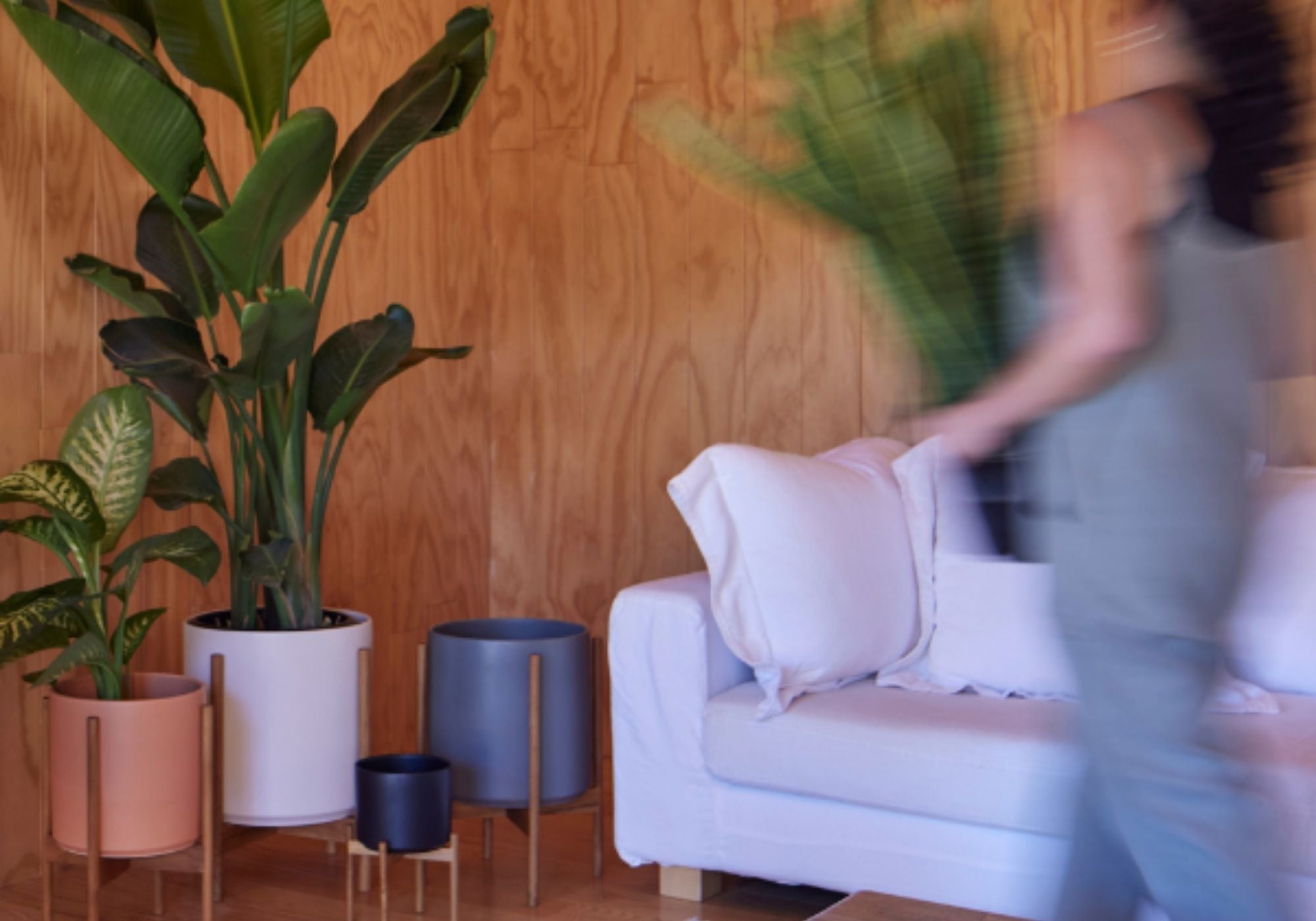 lifestyle group shot revival ceramic planters in a living room corner with plants, next to a white sofa and women walking past sofa