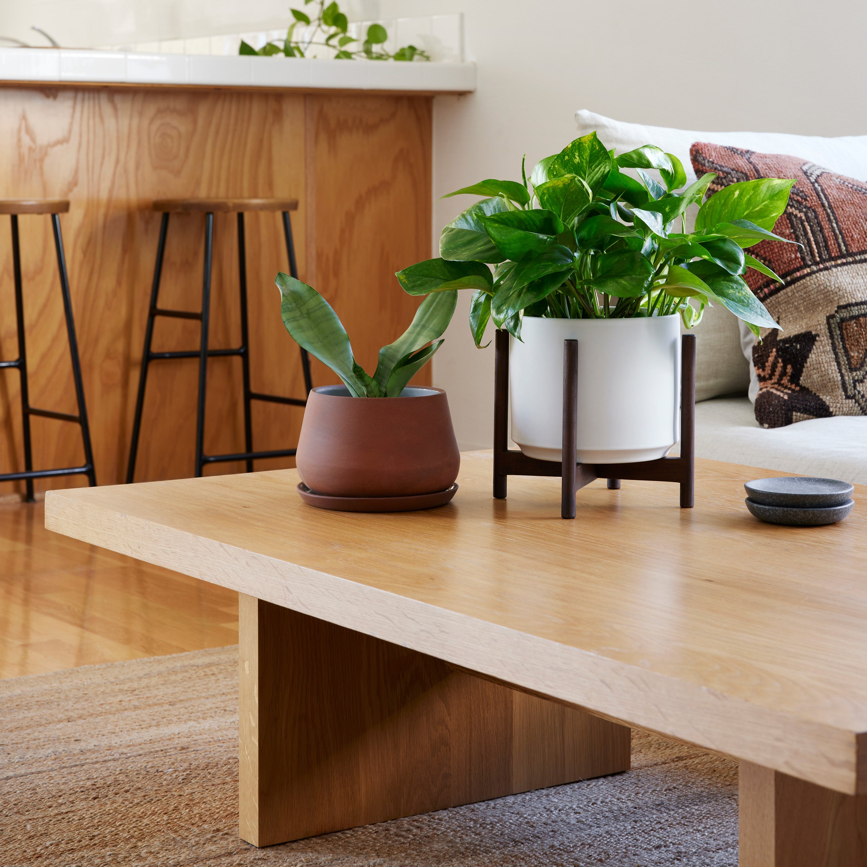 Lifestyle photo of a terra cotta Rancho Planter sitting on top of a coffee table, with a pretty green plant.