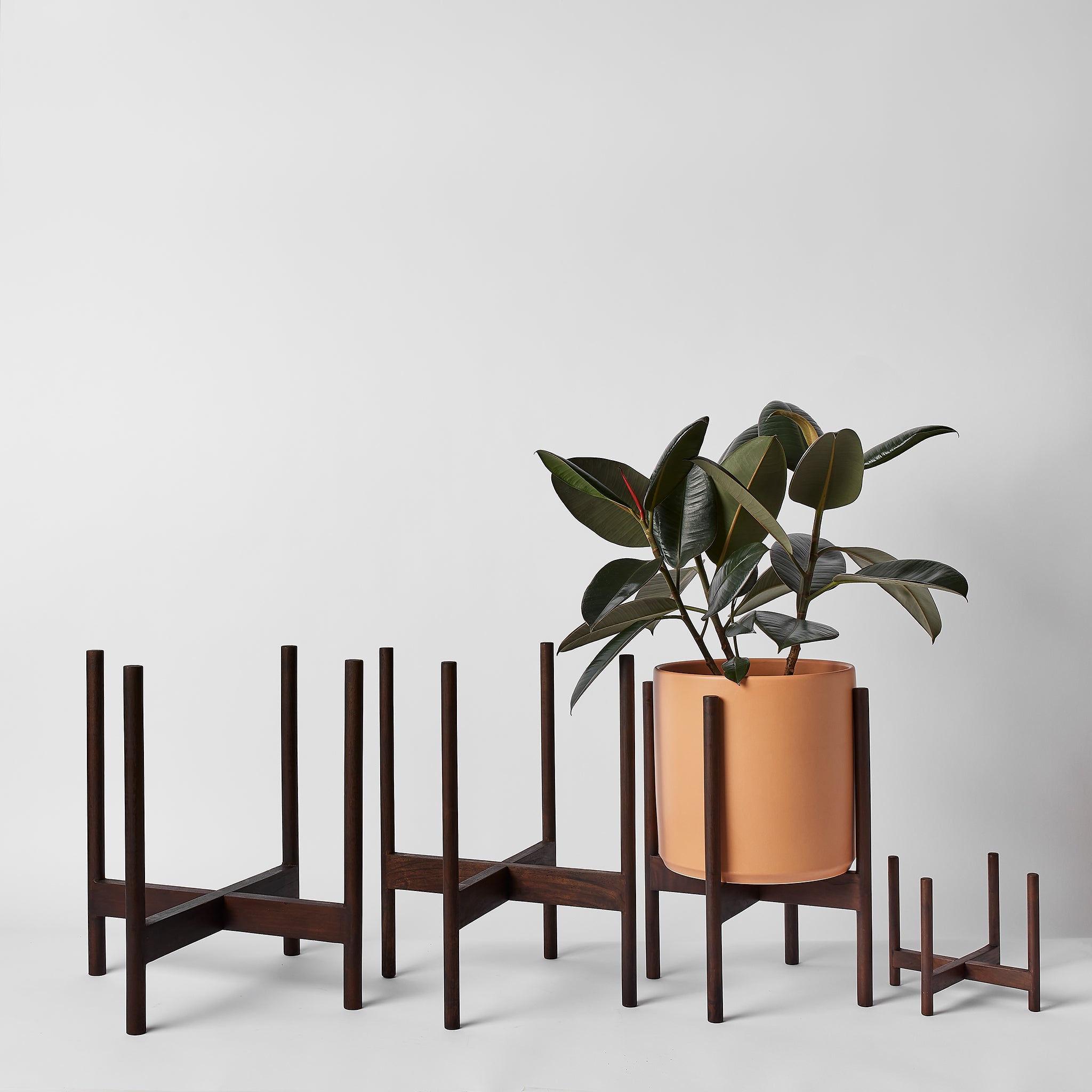 Rounded Hardwood Plant Stand