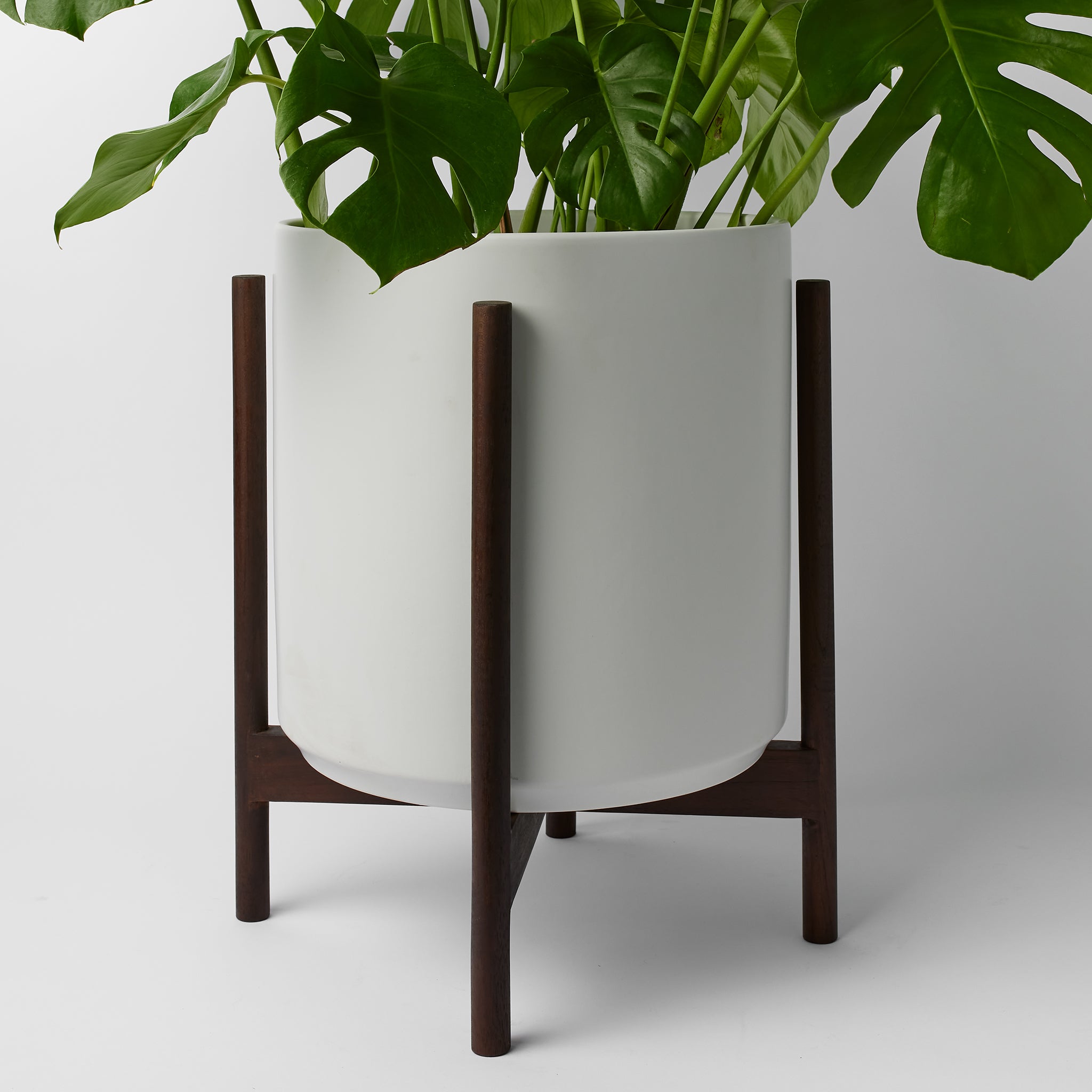 Rounded Hardwood Plant Stand