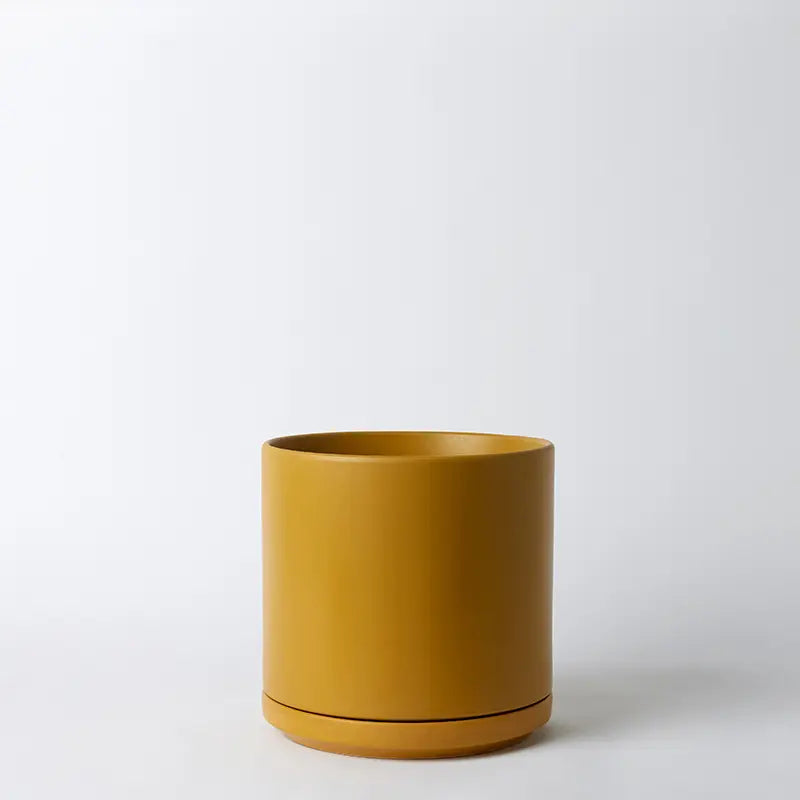 Mustard 10 Inch cylindrical pot on a white background