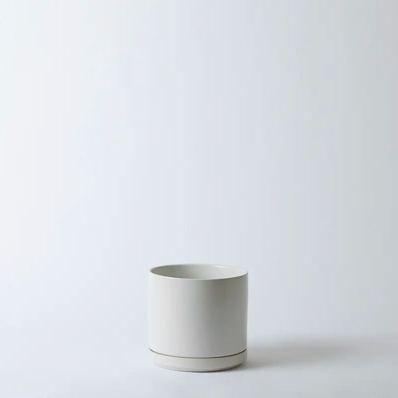 White 8 Inch ceramic planter on a light gray background
