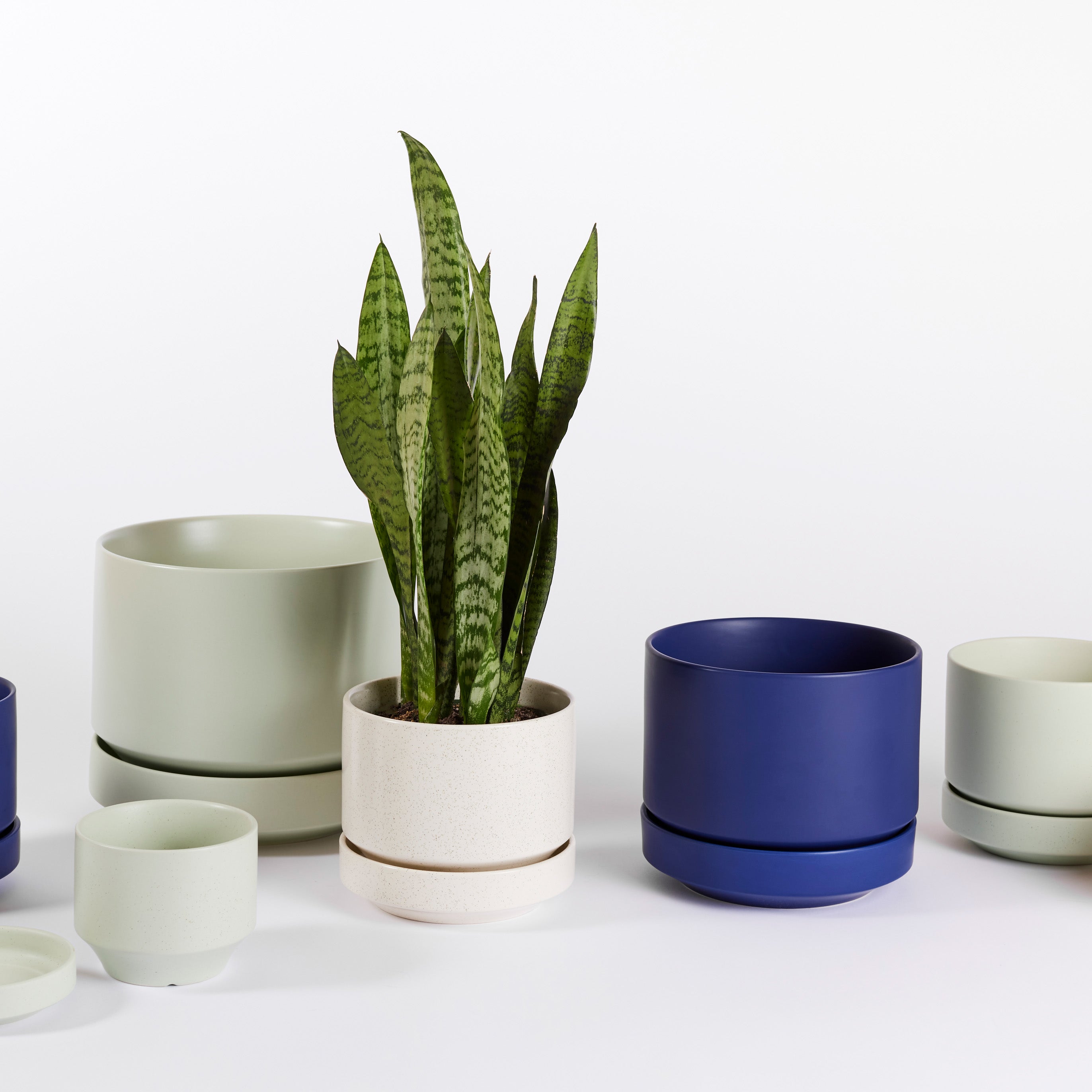 SRL.ROUNDTYPE PLANT POT-M カタチ製作所2 SRL.ROUNDTYPE PLANT POT-M カタチ製作所2 SRL TAPEREDTYPE PLANT POT