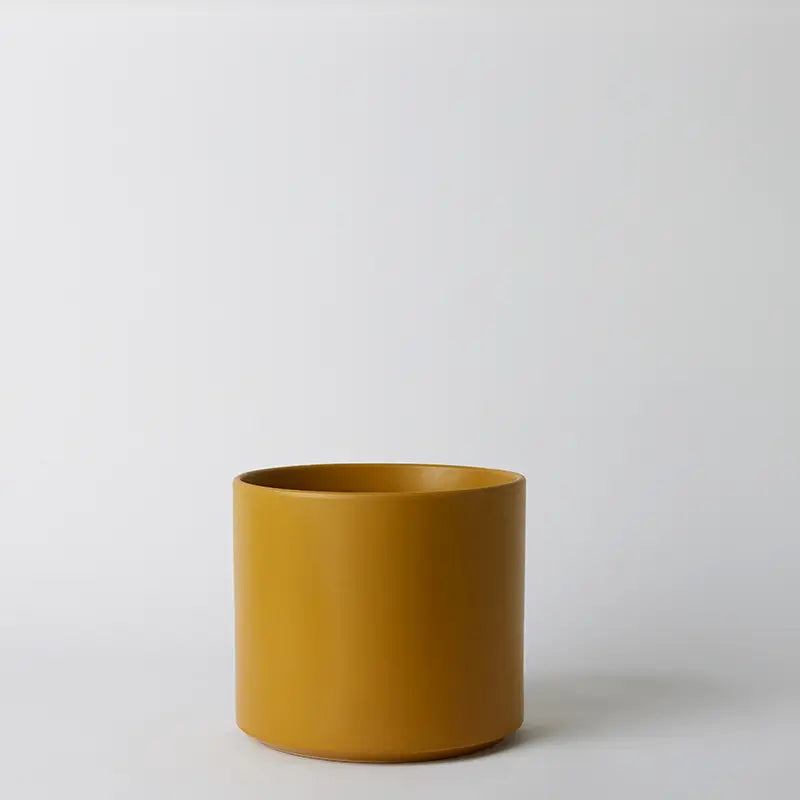 Mustard yellow ceramic pot on a light gray background