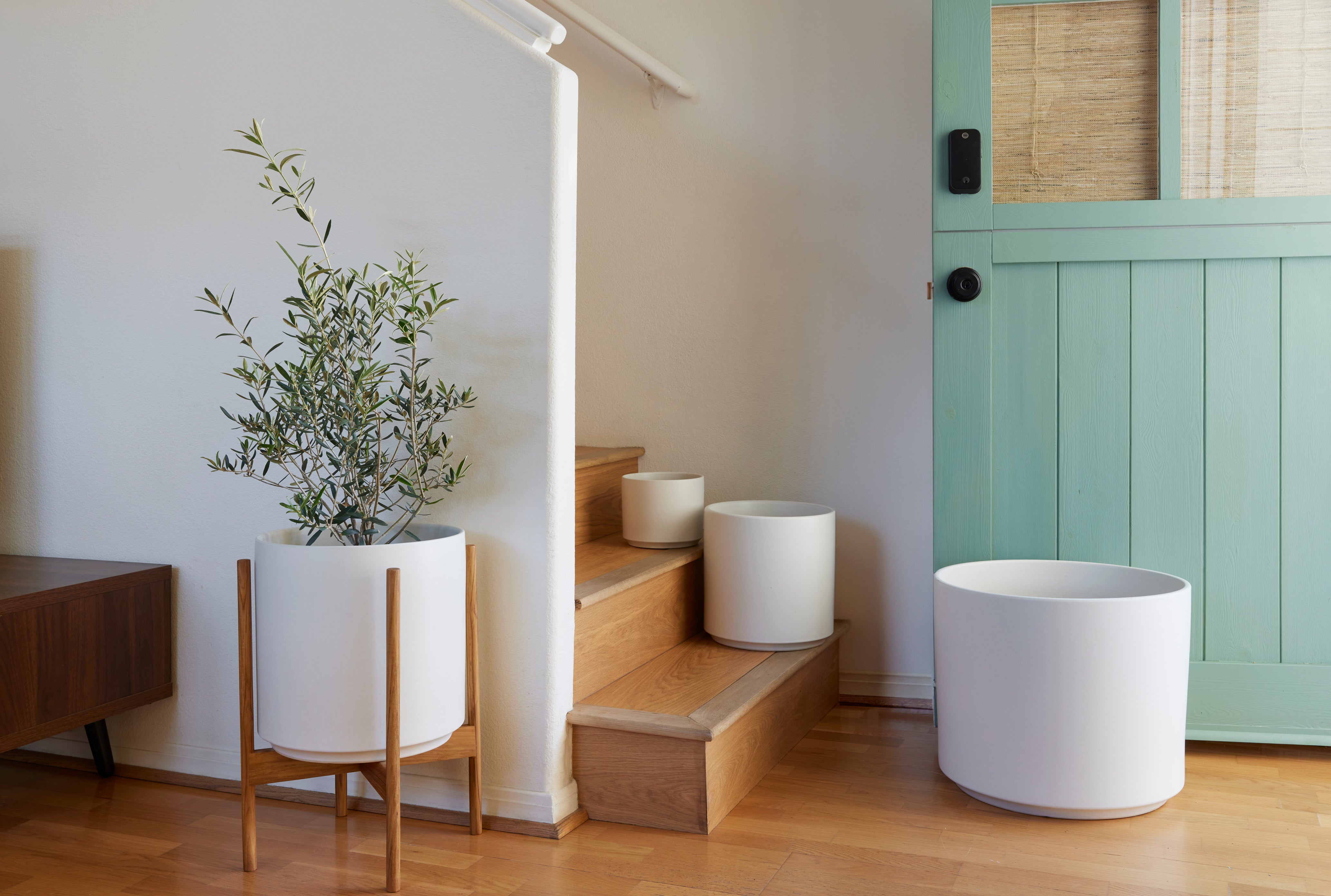 REVIVAL Ceramics white Cylinder planters shown in three sizes on wooden stairs, with an olive tree in a Cylinder plant stand nearby