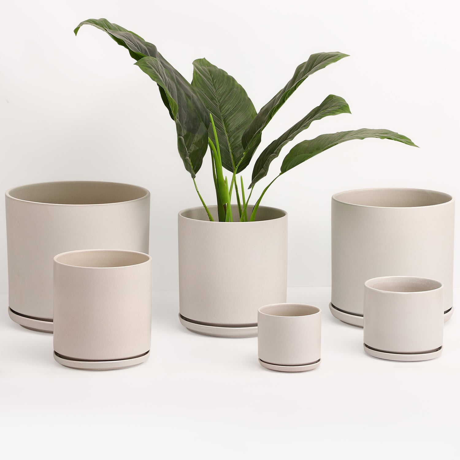 The Ceramic Cylinder Planter with Saucer, 2nd Generation