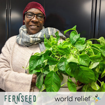 Donation Spotlight - The Fernseed and Seattle World Relief Foundation