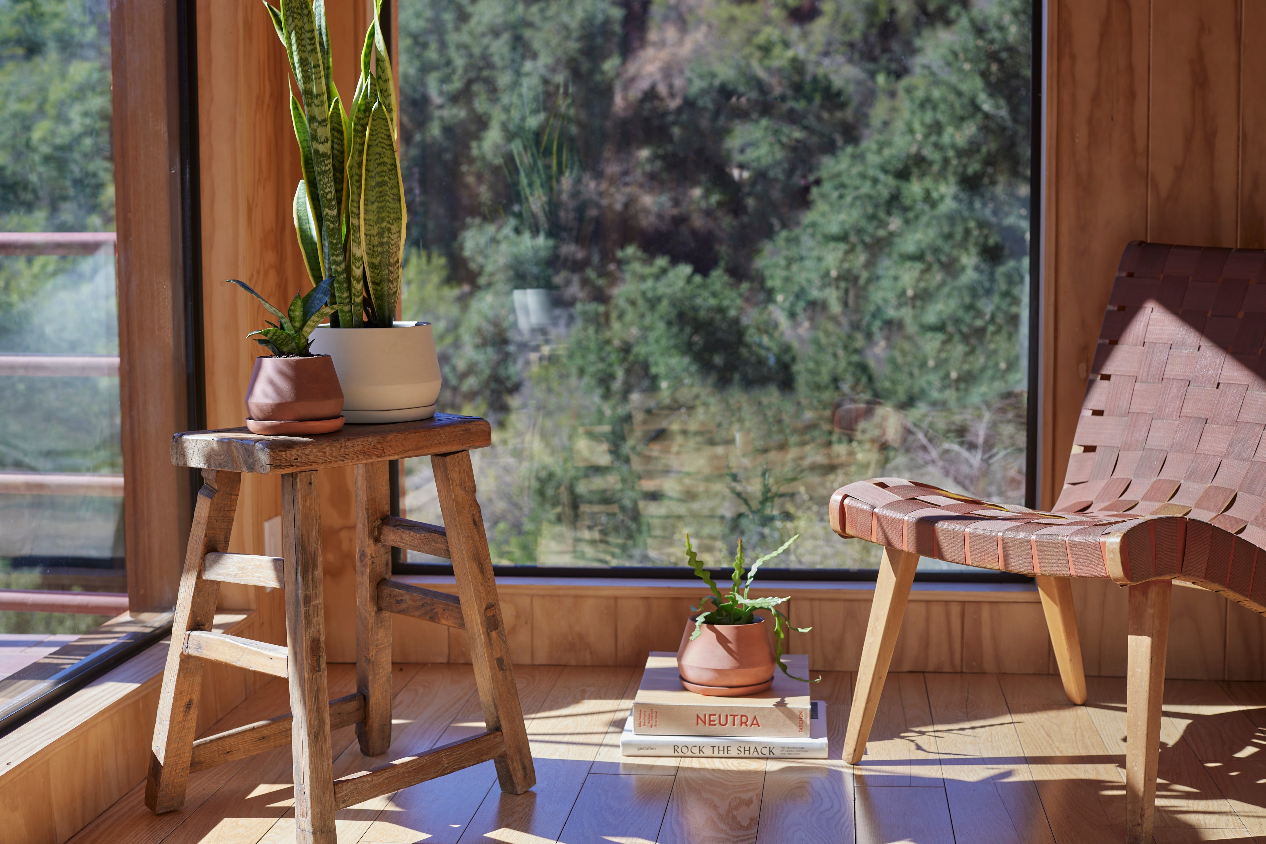 Photo of home office with houseplant next to a midcentury modern desk. Black Text on Peach  Background Reads: "How to Improve Your Home Office with Houseplants"