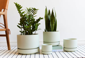 The Color Diaries: Minty Fresh