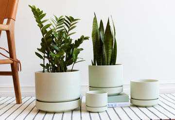 The Color Diaries: Minty Fresh