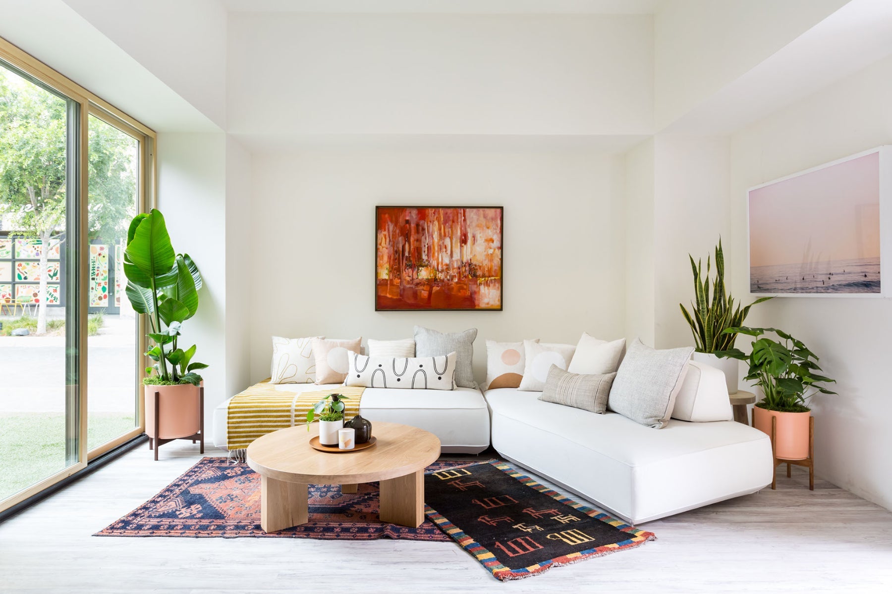 Plant Parents Meet Small Spaces: Tiny Living