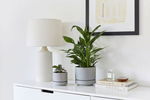 Styling Revival Ceramics in a Minimalist Space