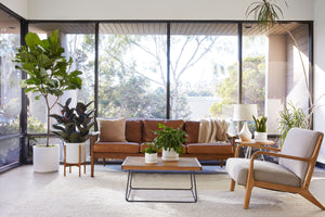 Styling Plants in a Mid-Century Modern Space