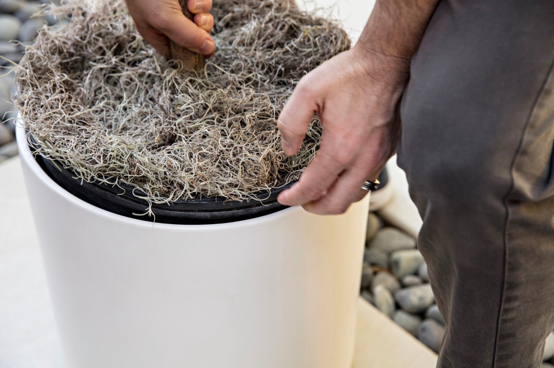 Grower Pots vs. Direct Potting with Revival Ceramics