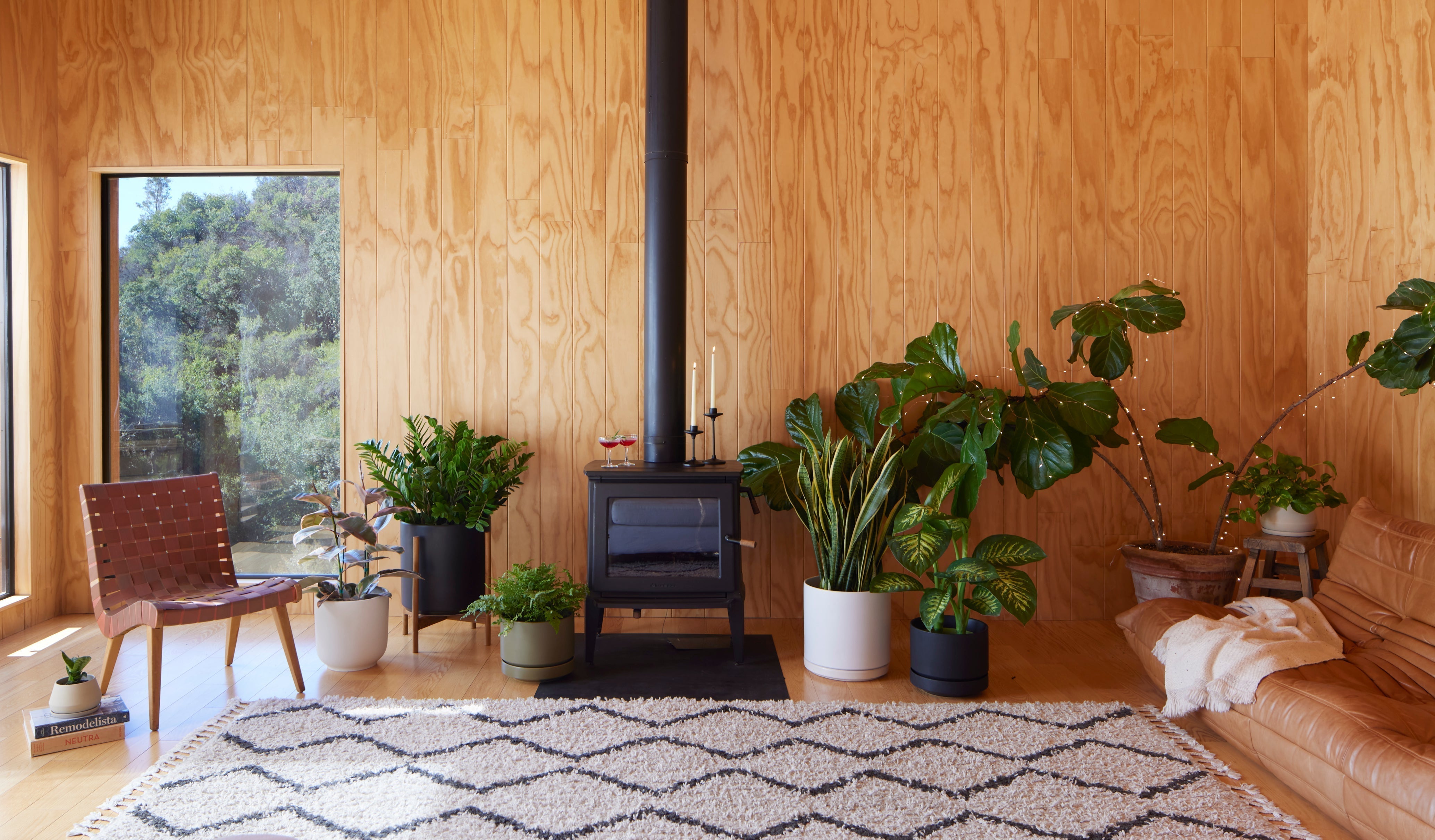 Skip the Skirt. Pot Your Tree.