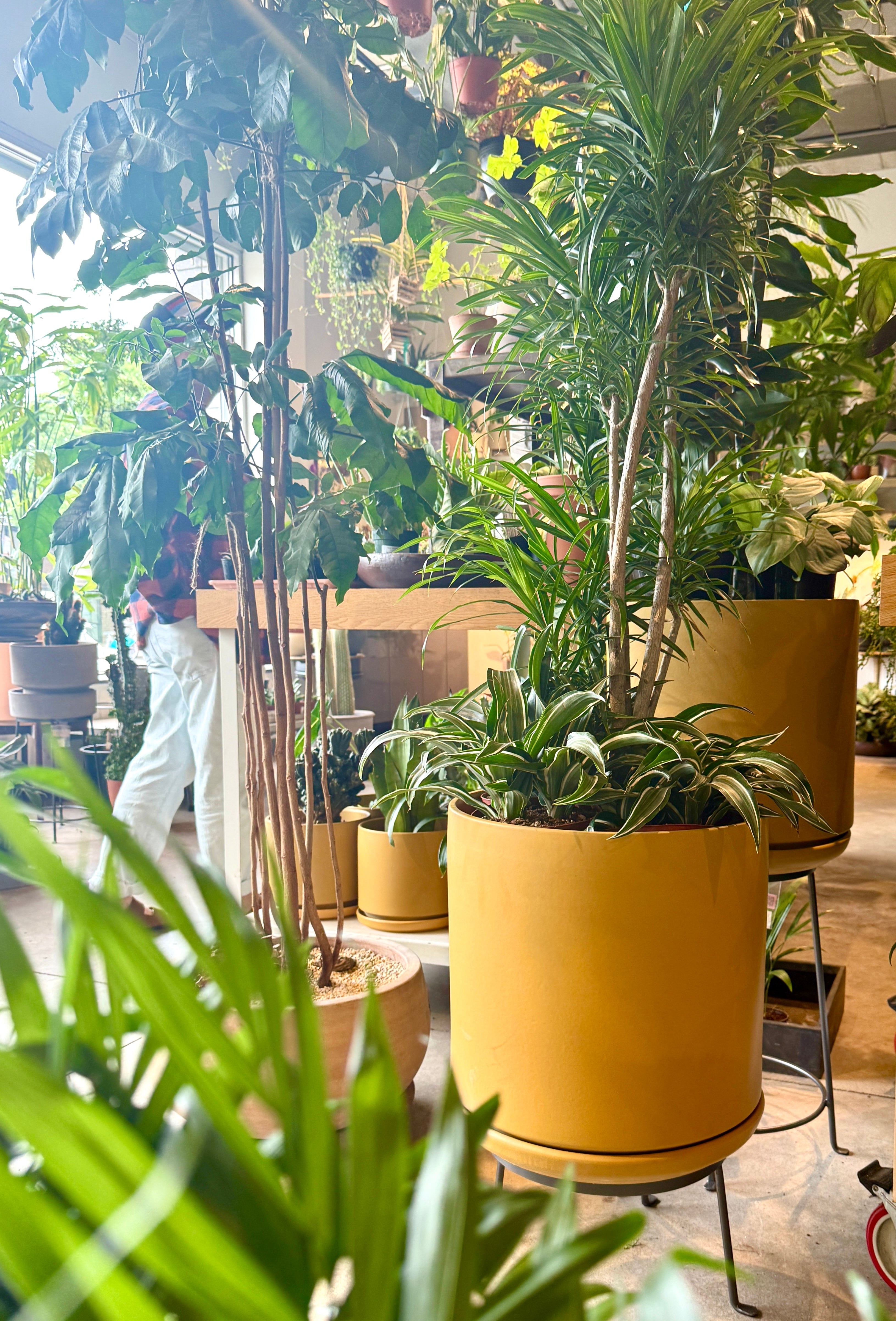 Shop Spotlight: Sprout Home