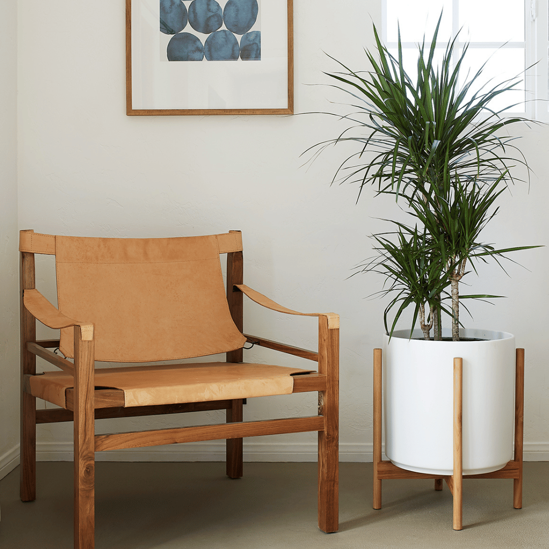 Lbe Design Ceramic Cylinders
