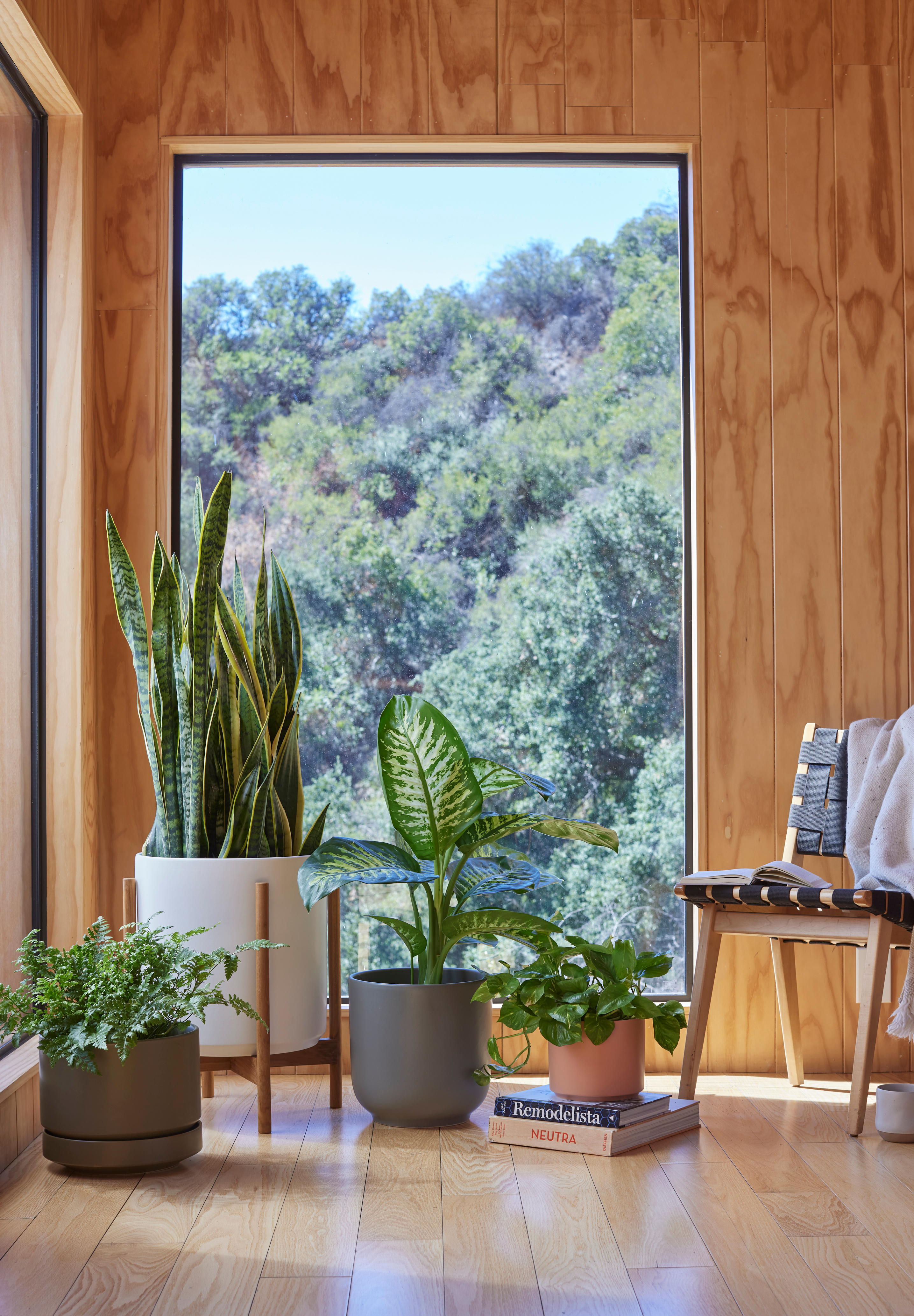 Revival Ceramics Collection