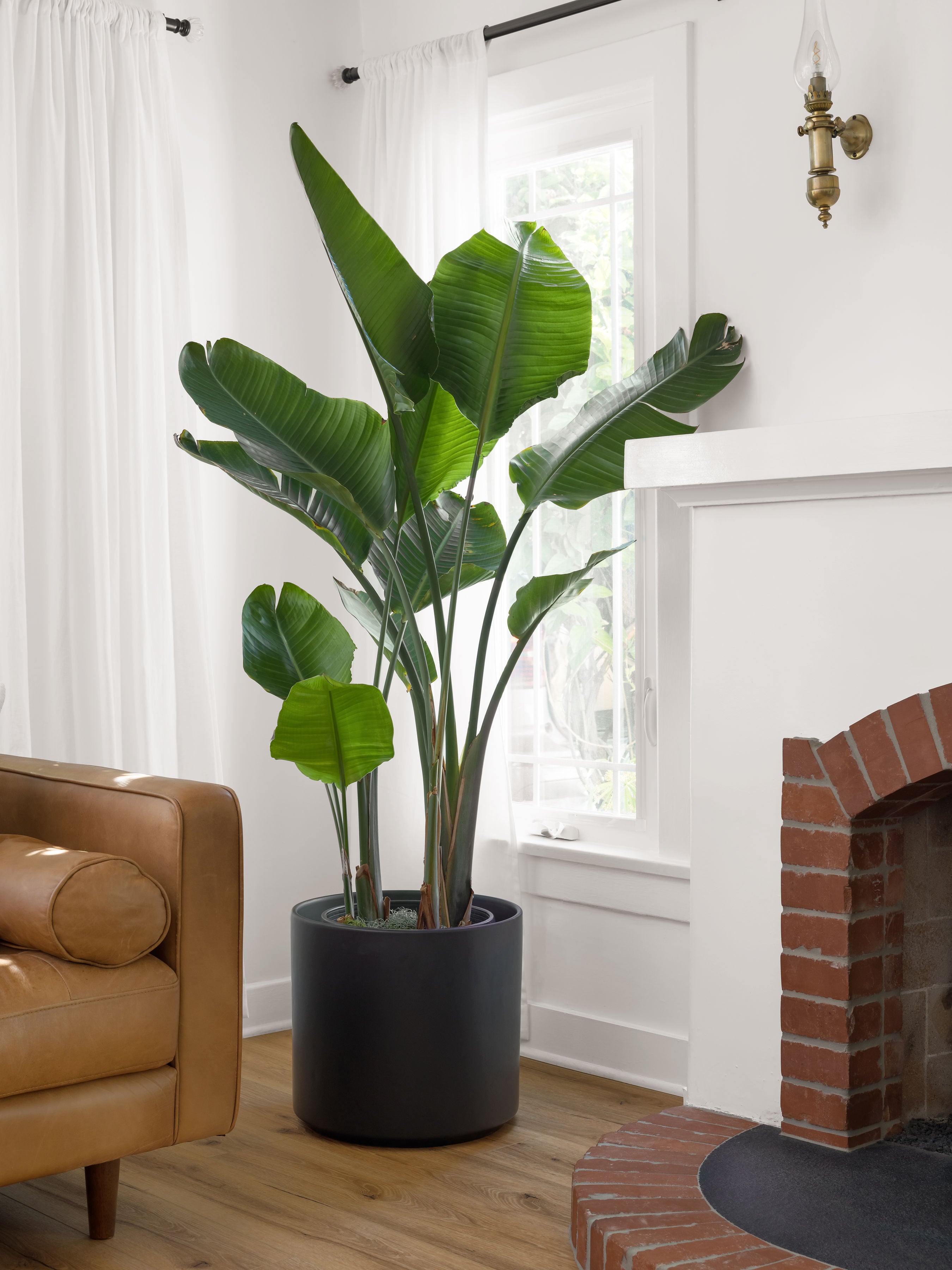 Shop Ceramic Cylinder Planters