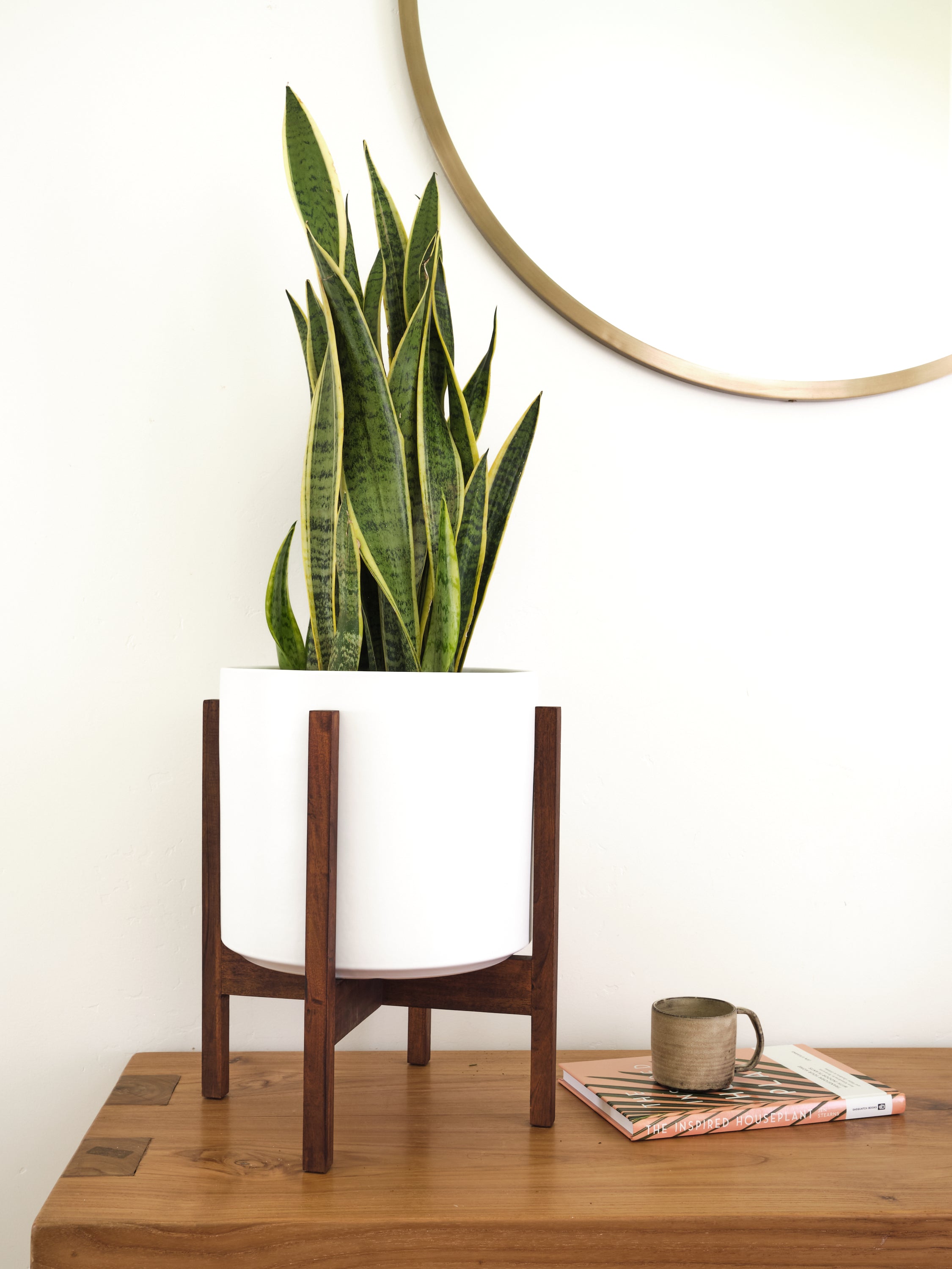 Shop Mahogany Plant Stands