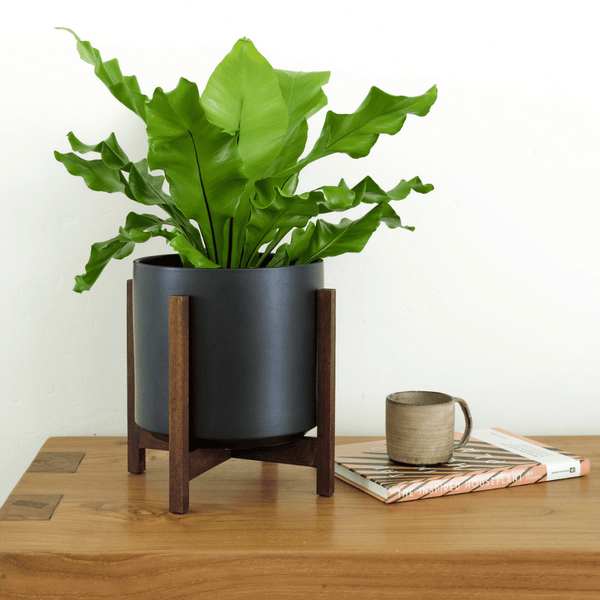 Solid Goods 8 Inch Ceramic Cylinder with Mahogany Stand