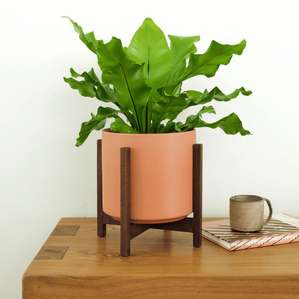 Solid Goods 8 Inch Ceramic Cylinder with Mahogany Stand