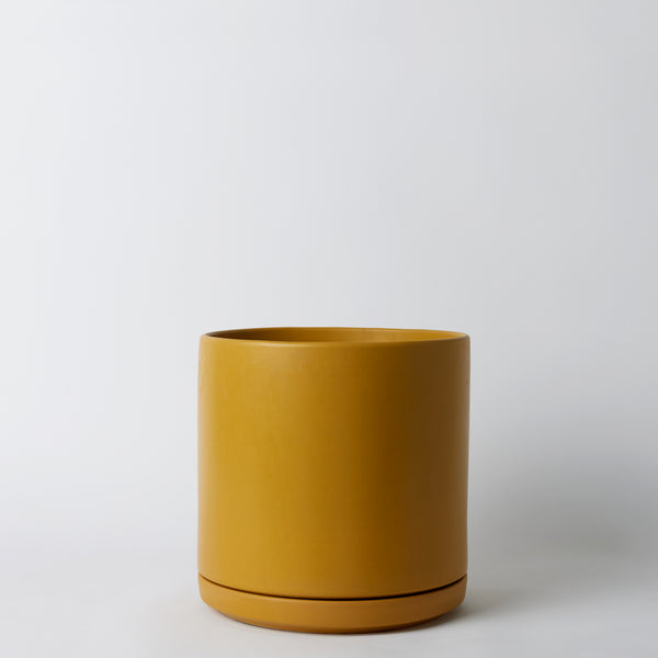 Mustard 12 Inch pot on a white background