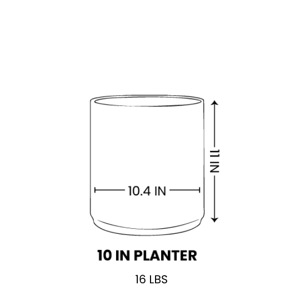 Line drawing for 10 Inch / Black