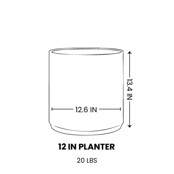 Line drawing for 12 Inch / Black