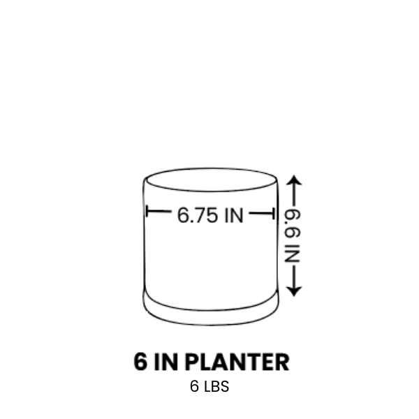 Line drawing for 6 Inch / Black