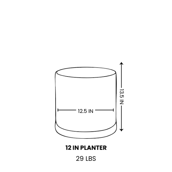 Line drawing for 12 Inch / Black