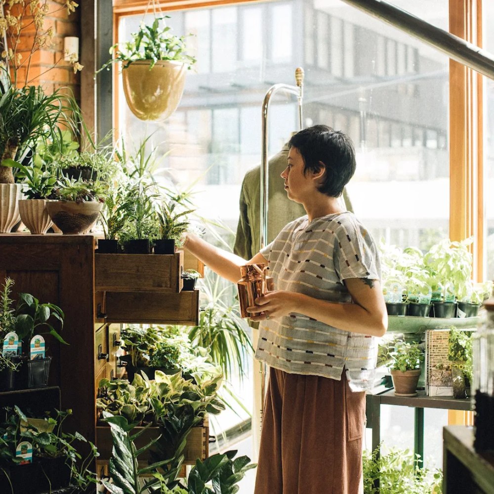 image of inside of Glasswing store location