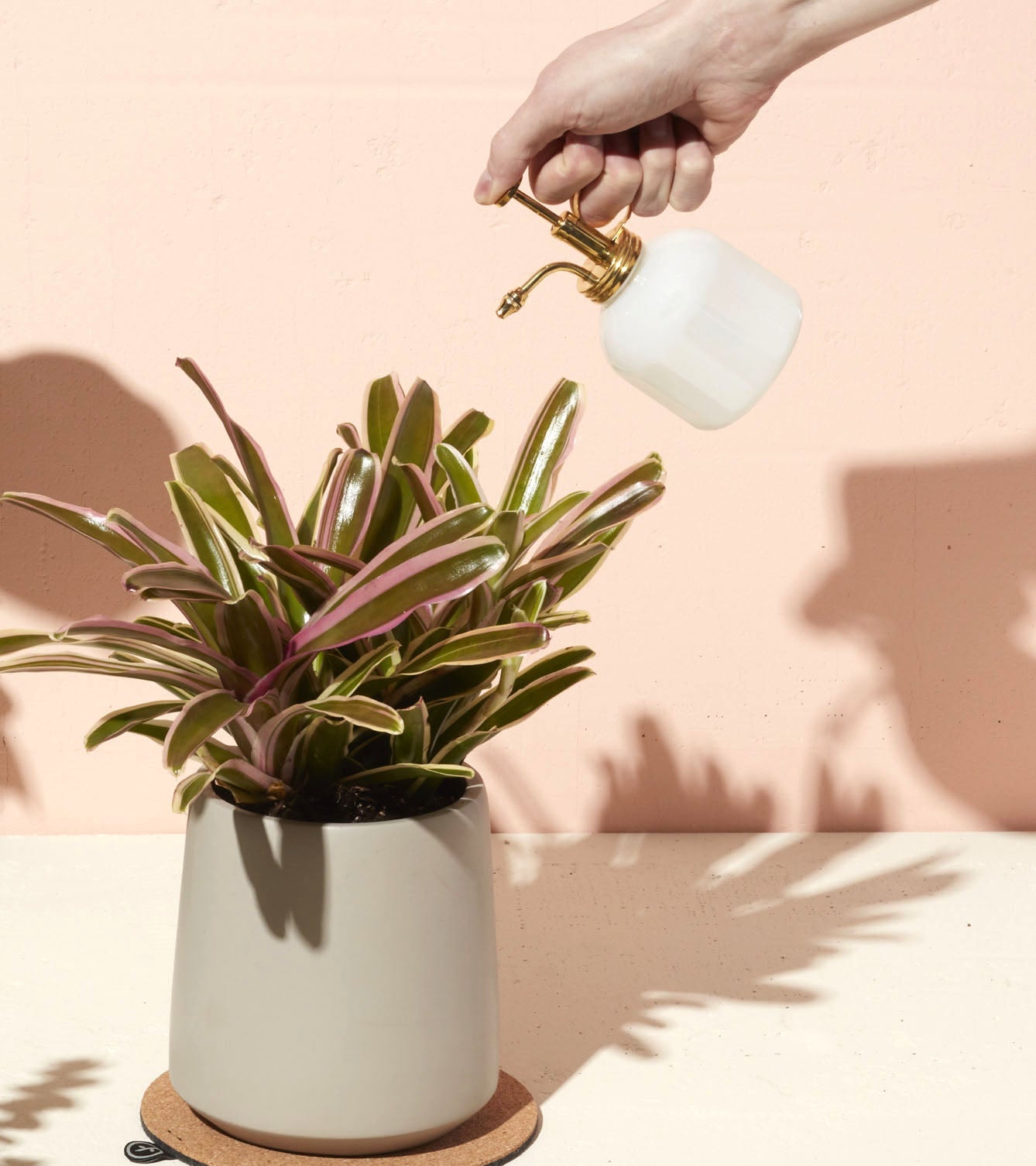 Plant Misters