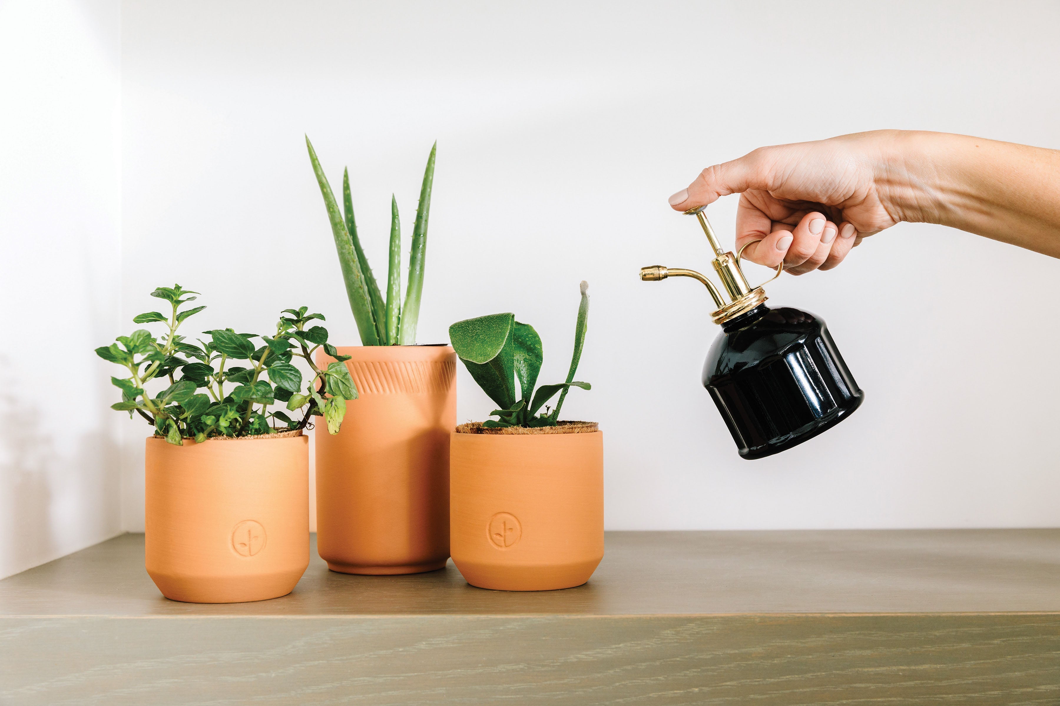 Plant Misters