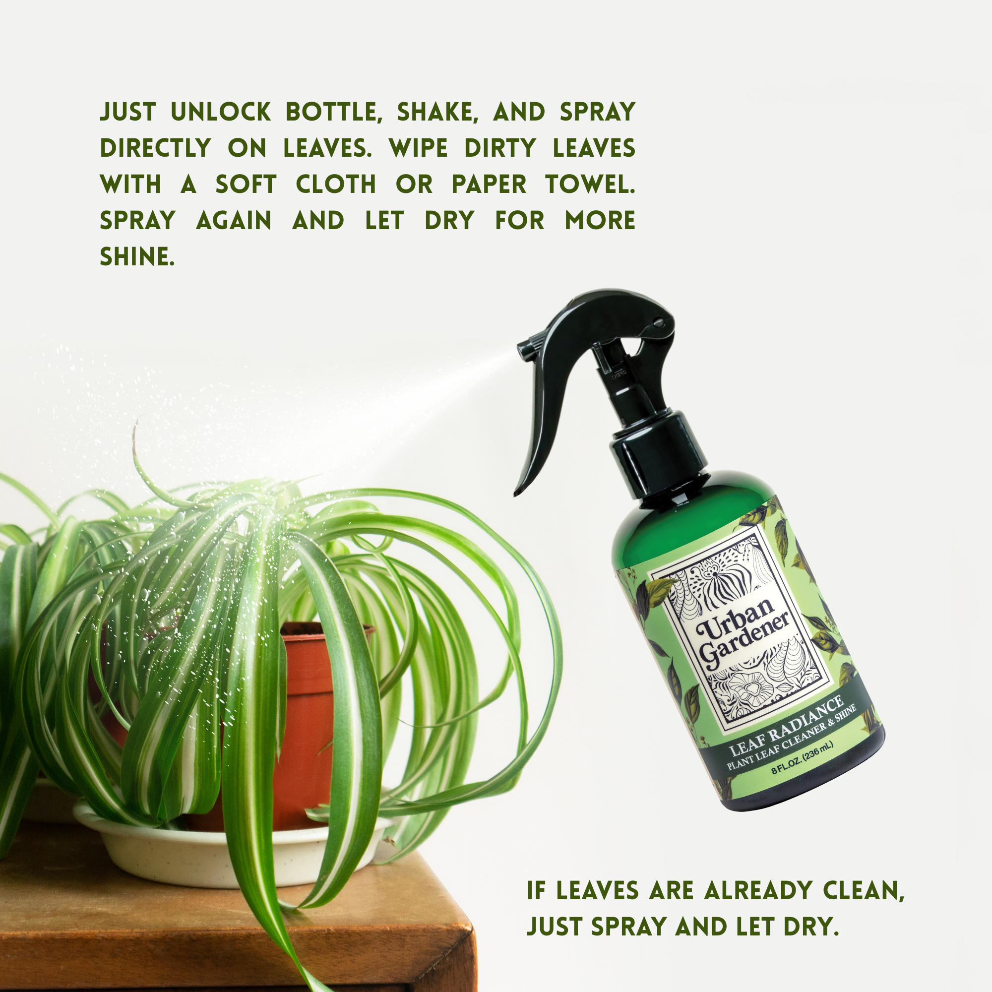 Leaf Radiance - Cleaner, Conditioner, Shine