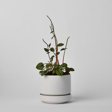 Round Two 10 Inch Ceramic Planter
