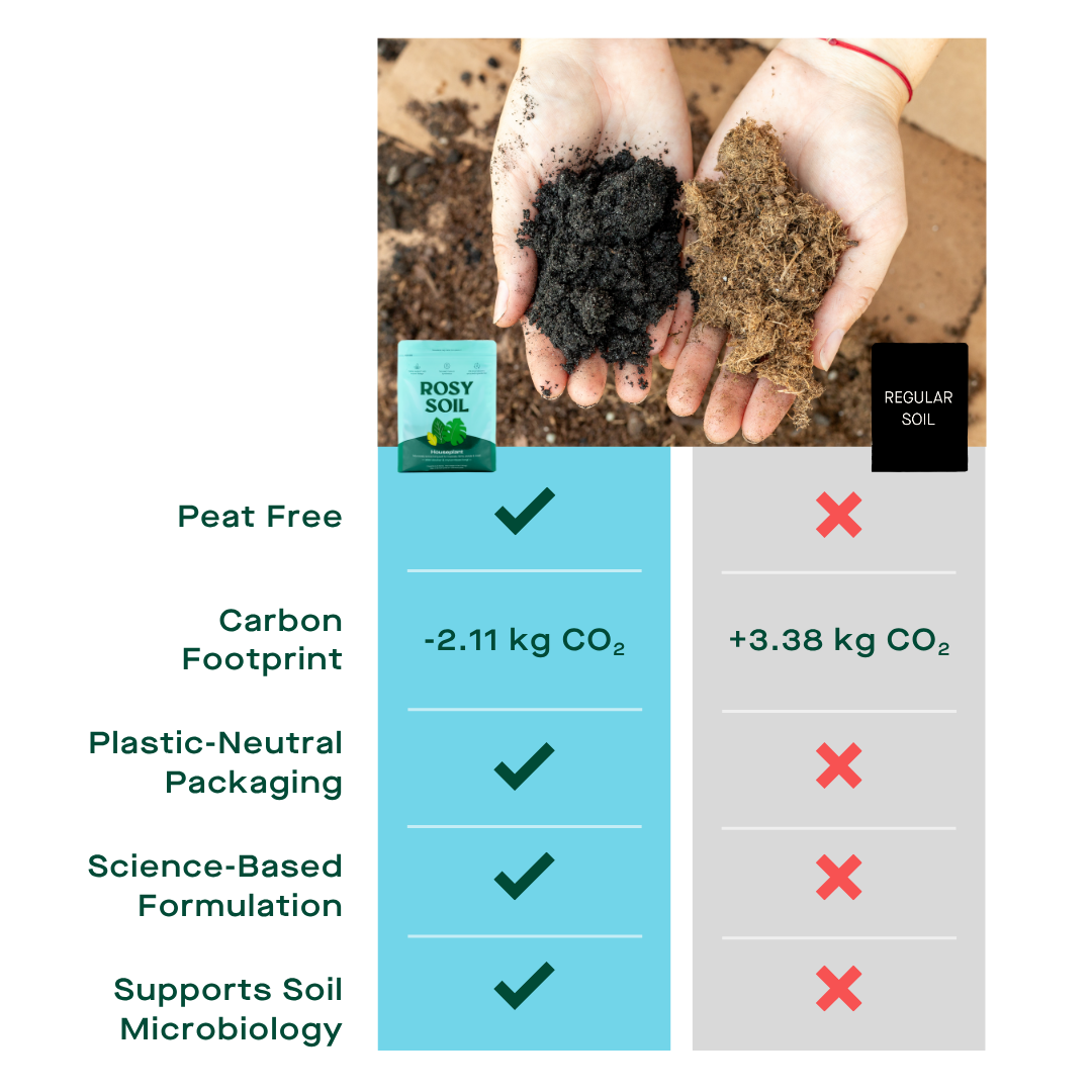 Houseplant Soil
