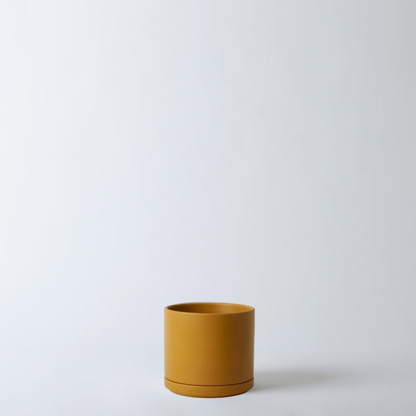Mustard 6 Inch pot on a white background