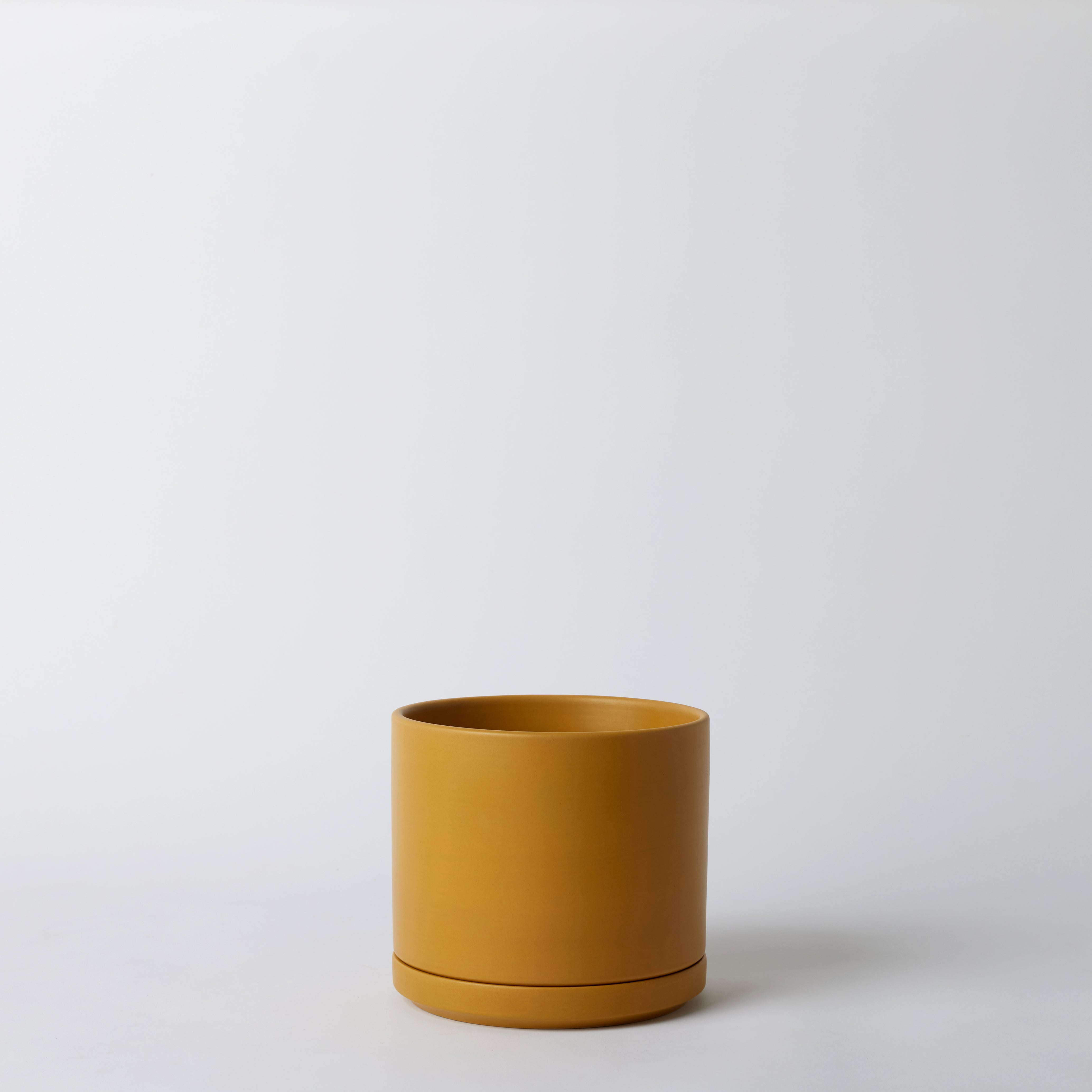 Mustard 8 Inch pot on a white background